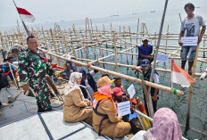 Babinsa Panjunan Dampingi Wakil Walikota Cirebon Tinjau Budidaya Kerang Hijau