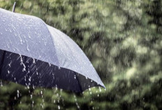 Dua Bibit Siklon Tropis Muncul di Samudera Hindia, BNPB Ingatkan Potensi Cuaca Ekstrem di Indonesia