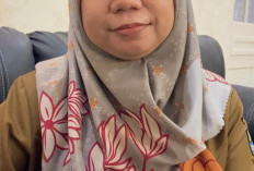 Pendaftaran Magang Batch 2 Dibuka, 72 Lowongan Tersedia untuk Lulusan Baru