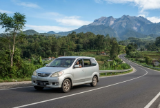 Mobil Bekas Toyota Terlaris Tahun 2026, Masih Jadi Buruan karena Irit dan Harga Stabil