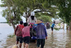 Setelah Sungai Asin Meluap, Giliran Sungai Cibuaya Rendam Jalan dan Areal Sawah di Indramayu