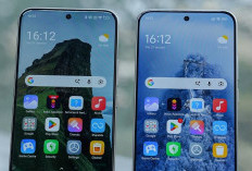 Deretan HP 2 Jutaan Terbaik 2026, Entry Level Rasa Flagship, Layar AMOLED Lengkung, Baterai Badak 7000 mAh