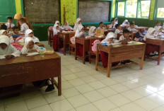 Guru SD Wajib Bersiap! Pelatihan Bahasa Inggris Dibuka, Target 30 Ribu Peserta per Tahun