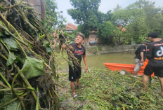 Jaga Kali: Warga dan Pemdes Surakarta Kompak Bersihkan Sungai, Cegah Banjir dan Lancarkan Irigasi