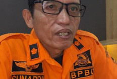 Kemarau Panjang 2026, BPBD Kota Cirebon Ingatkan Warga Waspadai Pohon Tumbang, Kebakaran, dan Reklame Roboh
