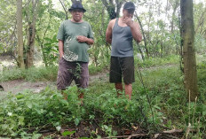 Warga Kertasemaya Indramayu Waswas, Bencana Banjir Mengancam Minta Hal Ini ke Pemerintah