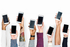 Rekomendasi 12 HP 1 Jutaan Terbaik Januari 2026, Spek Kencang Harga Bersahabat!