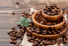 Arabika vs Robusta, Mana yang Lebih Pahit? Ini Perbedaan Karakter Rasa hingga Kadar Kafein