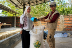 2 Ton Tepung Jagung dari Majalengka Meluncur ke Cirebon, Ada Kontrak 10 Ton per Pekan
