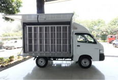 Efek Domino Program MBG: Penjualan Suzuki Carry Pick Up Meledak, Omzet Dealer Naik 30%