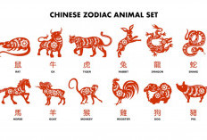 Ramalan Shio Hari Ini Rabu 10 Desember 2025: Energi Baru untuk Naga, Kuda, dan Kambing