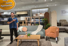 Tren Furniture 2026 Berubah! Generasi Z Kini Pilih Furnitur Colorful dan Multifungsi