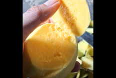 Dijuluki Buah Nostalgia, Wanginya Bisa Tembus ke Masa Lalu, Biasanya Tumbuh di Alam Liar