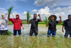 Satu Dekade MSP Indonesia: Dari Sawah ke Strategi, Meneguhkan Kedaulatan Pangan sebagai Pertahanan Bangsa