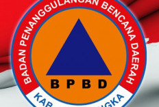 Karhutla di Majalengka Meluas, BPBD Catat 12 Kebakaran Hanguskan 10,85 Hektare dalam Sepekan