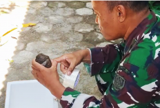 Granat Tangan di Cirebon Diduga Masih Aktif, Ditemukan Saat Gali Septic Tank
