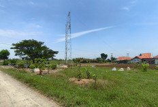 Diduga Belum Kantongi Izin, Pembangunan Tower di Tawangsari Losari Cirebon Tuai Penolakan Warga