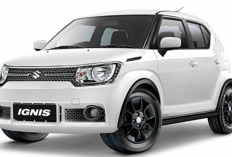 4 Rekomendasi City Car Bekas yang Cocok Untuk Keluarga, Punya 5 Seat Cocok Untuk Keluarga Besar
