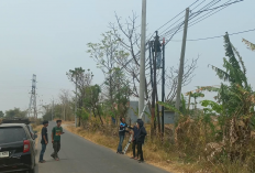 Kabel Putus Picu Kecelakaan di Majalengka, Provider Dipanggil