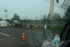 Truk Bermuatan 7 Ton Ikan Kecelakaan di Tol Cipali