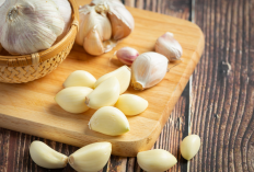 AWAS! Ini 4 Bahaya Makan Bawang Putih Berlebihan, Bisa Picu Gangguan Serius