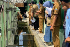 Universitas Pertamina Tinjau Program Adiwiyata dan Inovasi Lingkungan di SMP Negeri 7 Cirebon
