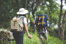 Wisata Trekking di Majalengka, 7 Jalur Terbaik dari Pemula hingga Pendaki Profesional