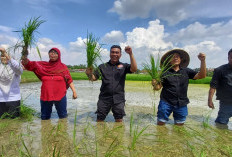 10 Tahun MSP: Saatnya Petani Jadi Garda Depan Kedaulatan Pangan Indonesia