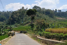 Bukan Lembang, Ini 5 Kecamatan di Kuningan yang Punya Udara Paling Dingin, Suhu Bisa 16 Derajat Celsius