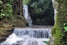 Pesona Wisata Palutungan, Bak Surga Alam di Bawah Kaki Gunung Ciremai