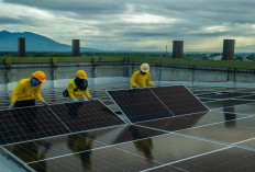 BII Luncurkan British Climate Partners £1,1 Miliar untuk Percepat Transisi Energi Asia