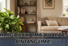 7 Tanaman Hias Mewah dengan Harga Murah Ini Bisa Percantik Setiap Sudut di Rumah Kamu, Dijamin Ramah Pemula!