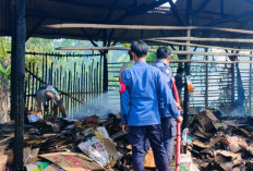 Gudang Kardus di Tortoran Terbakar Diduga Akibat Puntung Rokok