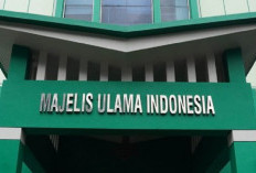 MUI Apresiasi Pembebasan WNI Relawan Palestina yang Ditahan Militer Israel