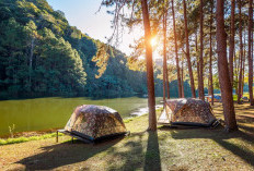 5 Tempat Camping Terbaik di Kuningan, Favorit Anak Muda dengan Panorama Pegunungan