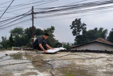 Diskominfo Jabar Pasang Internet Satelit di Pasirlangu, Evakuasi Longsor Lebih Lancar