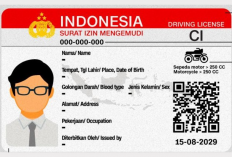 Telat Perpanjang SIM Sehari, Harus Bikin Baru? Ini Aturan dan Biayanya