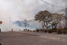 Lahan Semak Seluas 1 Hektare di Pamengkang Cirebon Terbakar, Diduga Berawal dari Pembakaran Sampah