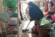 Banjir Surut, Warga Rengaspayung Indramayu Mulai Bersih-Bersih Lumpur Dibantu TNI