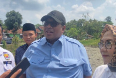 George Edwin Sugiharto: Pemerintah Jamin Stok Pupuk Aman di Tengah Ketidakpastian Geopolitik Global