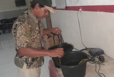 Nelayan Cirebon Lakukan Konservasi Rajungan, Upaya Menjaga Populasi