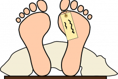 Berduka! Dokter Muda di Cianjur Meninggal Akibat Campak,Kemenkes Imbau Lengkapi Vaksinasi