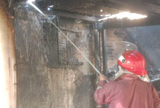 Dapur Rumah di Waled Cirebon Terbakar, Diduga Dipicu Pembakaran Sekam