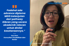 Ina Liem Respons Putusan MK Soal Ijazah Gibran Disebut Tidak Ada: Dikti Tidak Dipanggil di Sidang