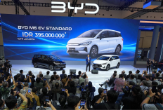 Mobil MPV Terbaru dari BYD Muncul di GIIAS 2026, BYD M6 DM dan M6 EV Siap Rebut Pasar Indonesia