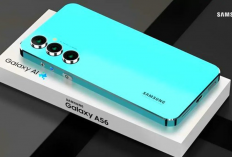 Daftar 7 HP Murah 2026 Layar OLED Terbaik, Samsung Galaxy A56 Masuk, Visual Flagship Harga Hemat