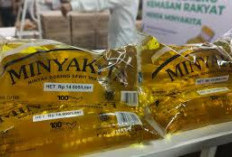 Harga Minyakita Tetap Rp15.700, Pemerintah Jaga Daya Beli Masyarakat