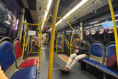 Transportasi Umum Gratis di Jakarta saat WFH ASN, Langkah Nyata Tekan Emisi