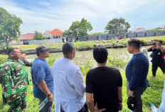 Aksi Nyata Kebersihan Lingkungan Kota Cirebon, Wali Kota Turun Bersih-bersih Sungai Sukalila
