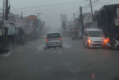 Daftar Wilayah Berpotensi Hujan Lebat Disertai Angin Kencang Menurut BMKG